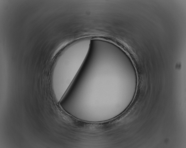 X0000096701163200802051054