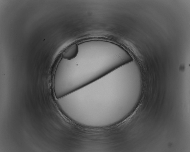 X0000096701164200802051054