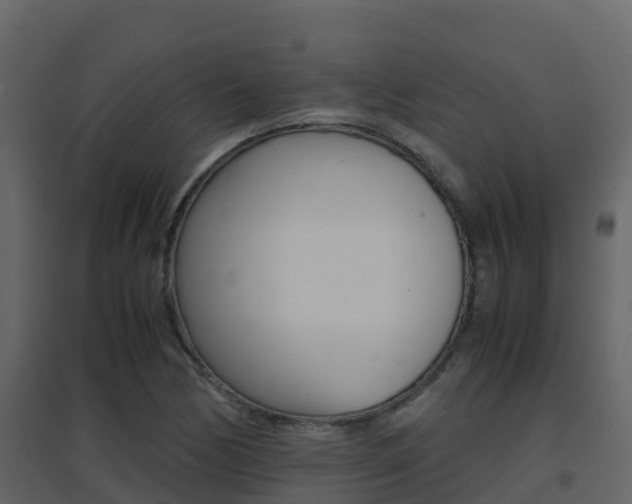 X0000096701170200802051054