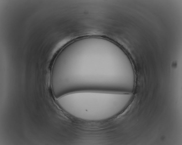 X0000096701171200802051054