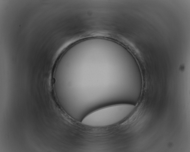 X0000096701174200802051054