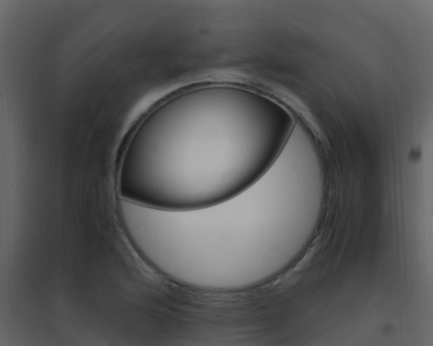 X0000096701176200802051054