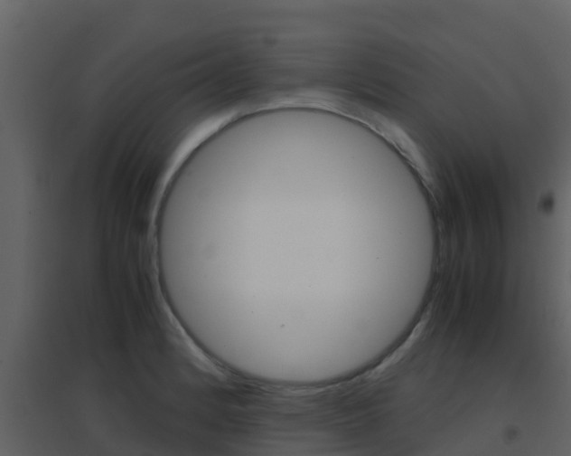 X0000096701184200802051054