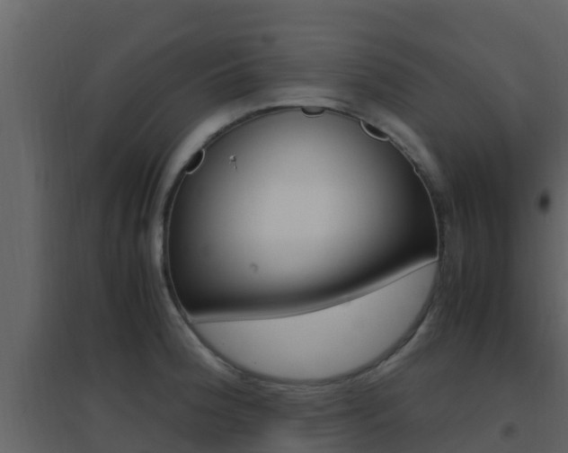 X0000096701188200802051054