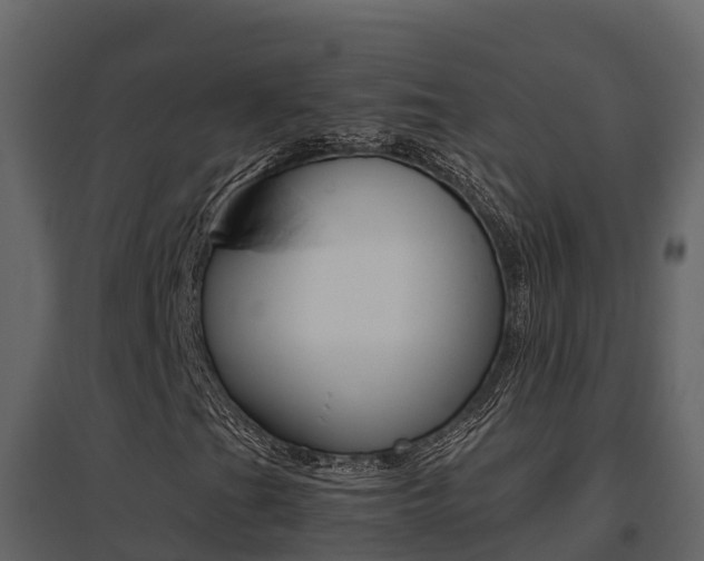 X0000096701201200802051053