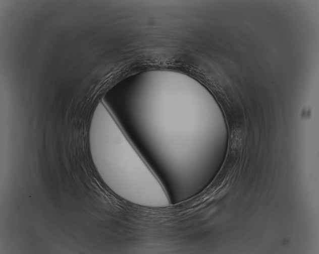 X0000096701202200802051053