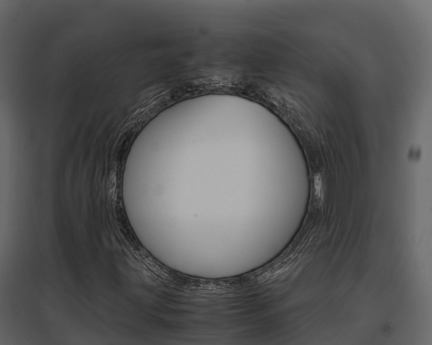 X0000096701203200802051053