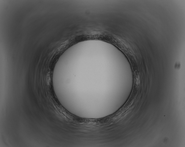 X0000096701204200802051053