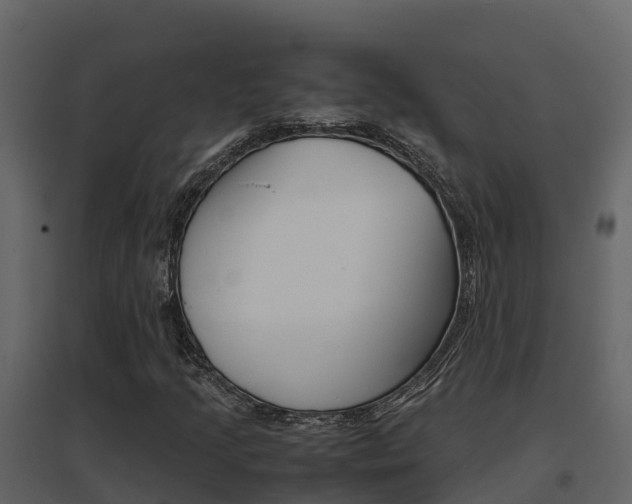 X0000096701205200802051053