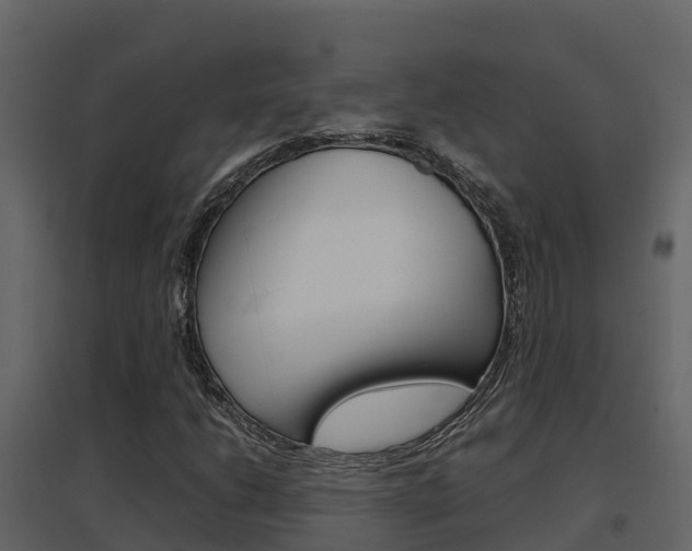 X0000096701206200802051053