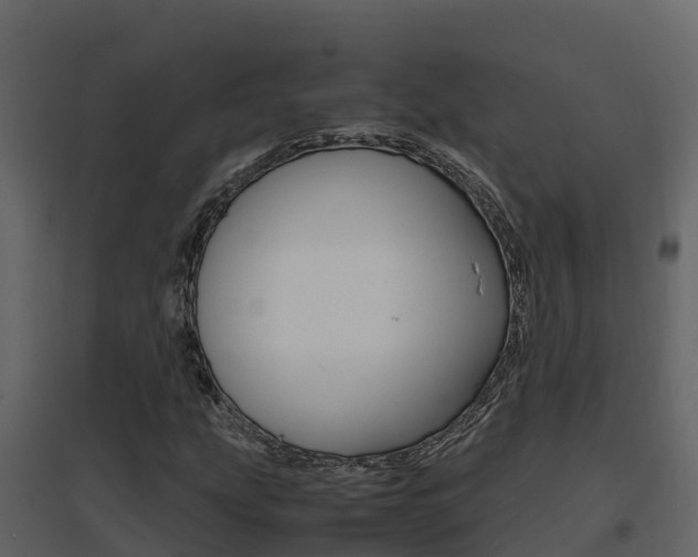 X0000096701207200802051053