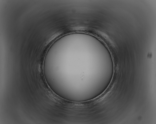 X0000096701209200802051053