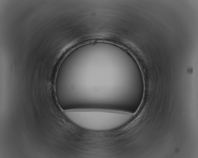 X0000096701210200802051053