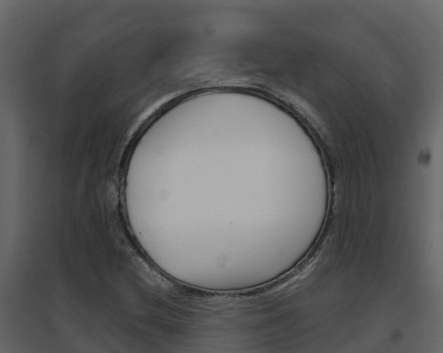 X0000096701212200802051053