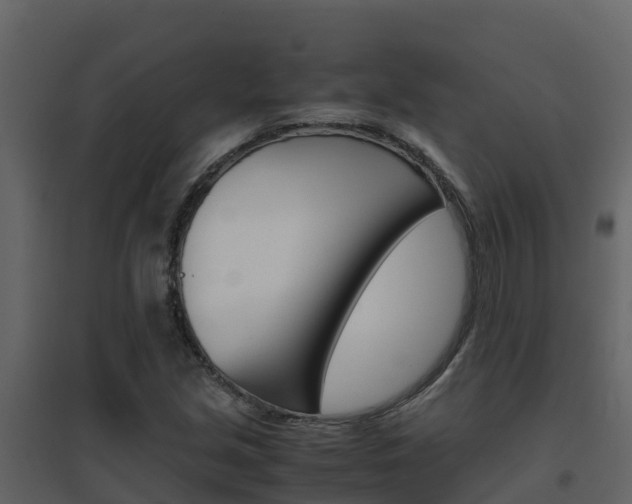 X0000096701213200802051053