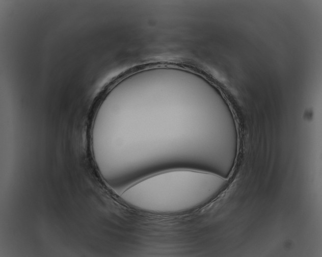X0000096701214200802051053
