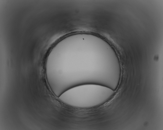 X0000096701215200802051053