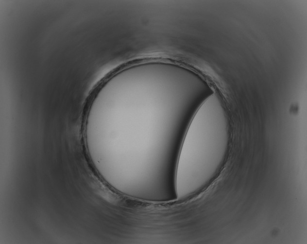 X0000096701216200802051053