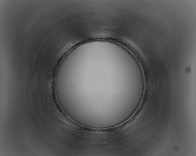 X0000096701217200802051053