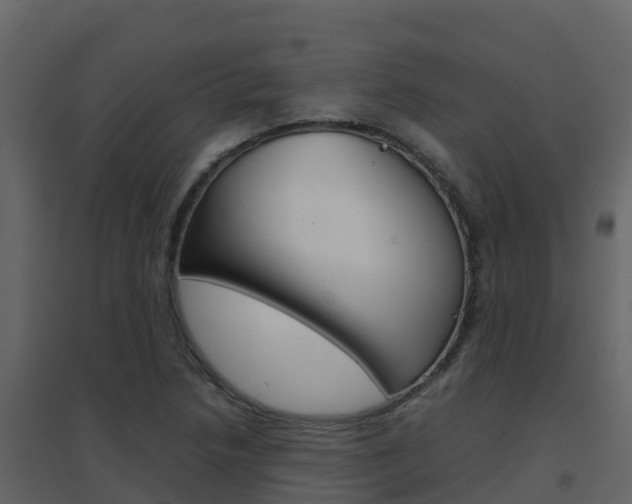 X0000096701218200802051053