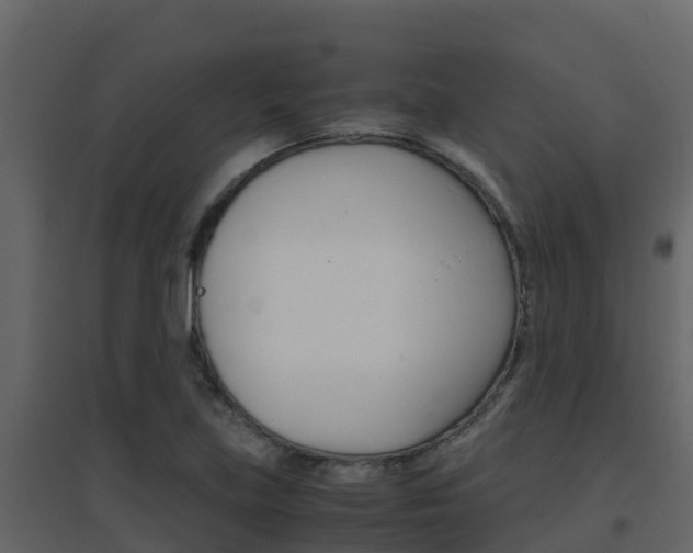 X0000096701219200802051053