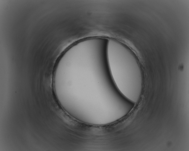 X0000096701220200802051053
