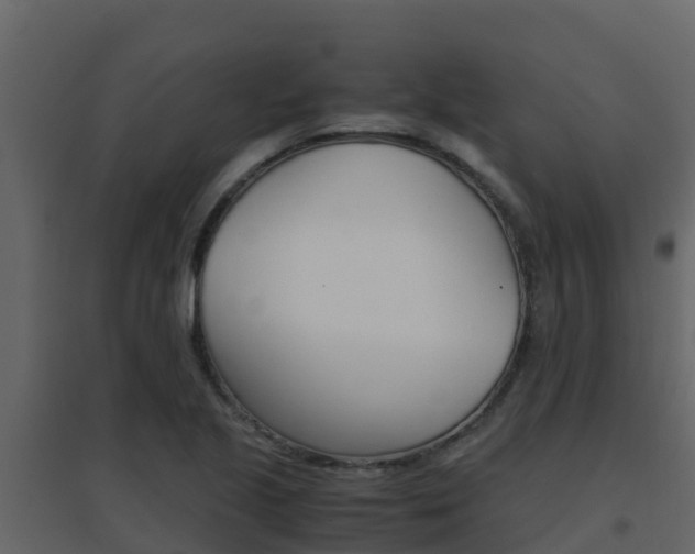X0000096701221200802051053
