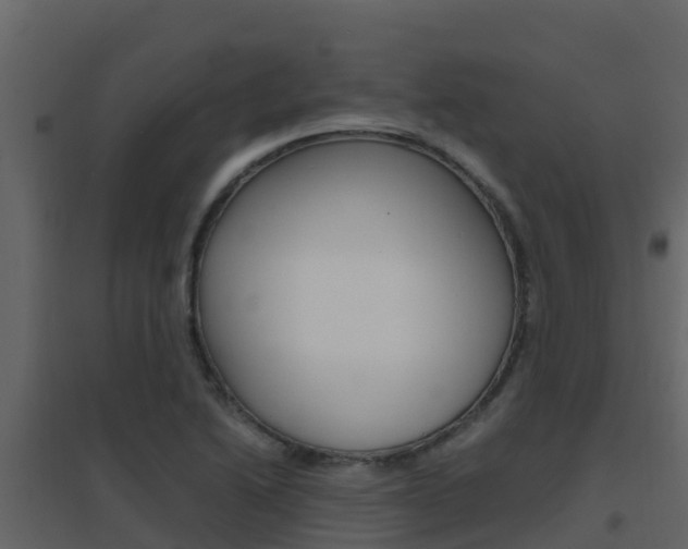 X0000096701222200802051053