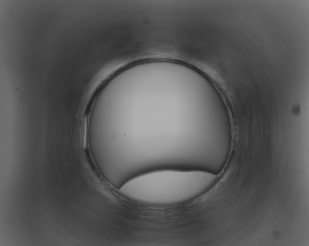 X0000096701223200802051053