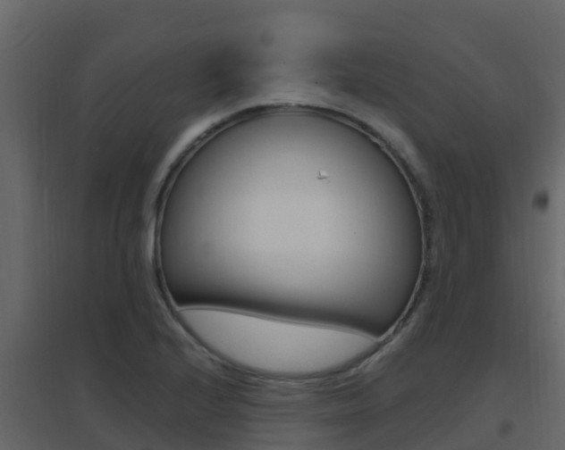 X0000096701224200802051053