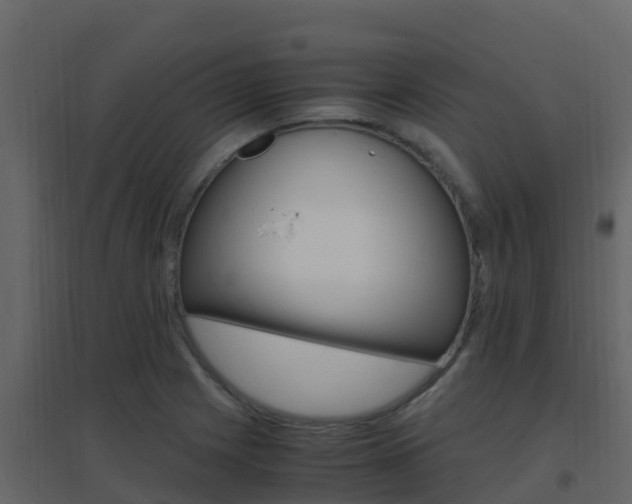 X0000096701225200802051053
