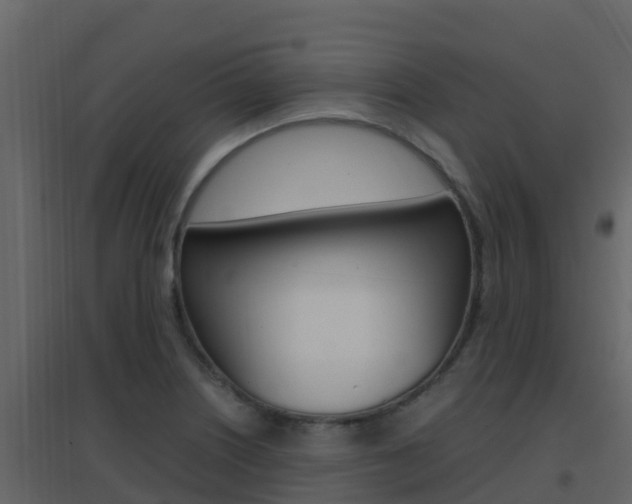 X0000096701226200802051053