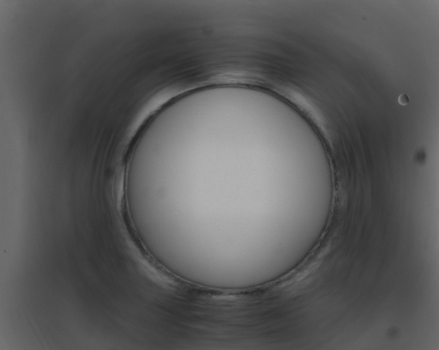 X0000096701227200802051053