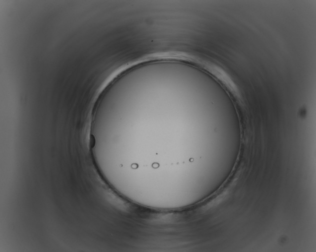 X0000096701228200802051053