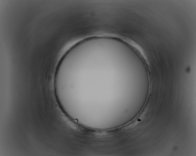 X0000096701231200802051054
