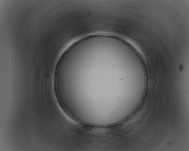 X0000096701237200802051054