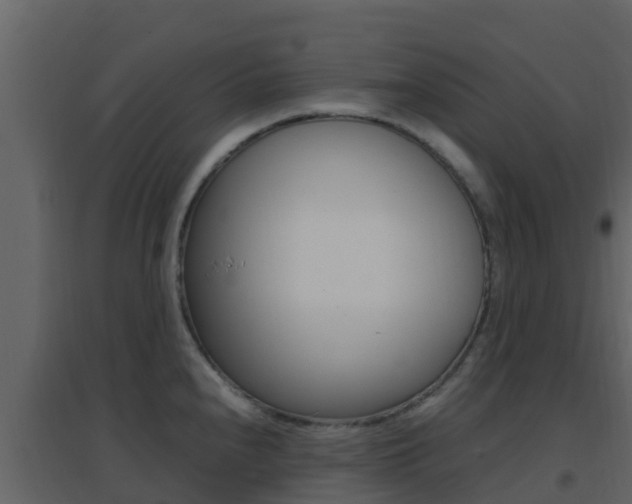 X0000096701240200802051054