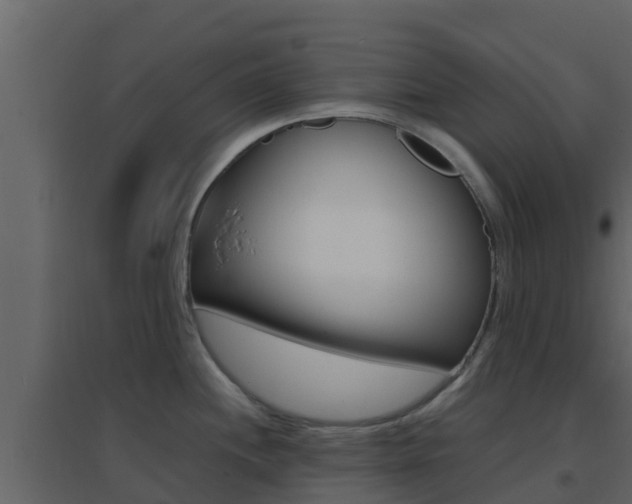 X0000096701244200802051054
