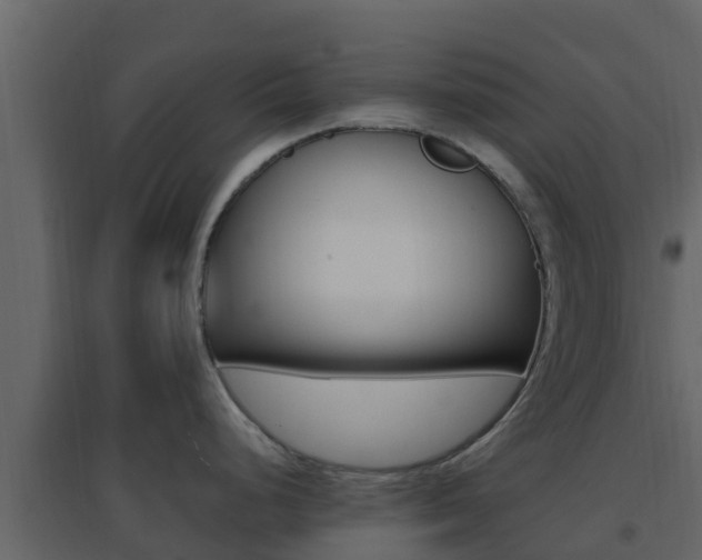 X0000096701248200802051054