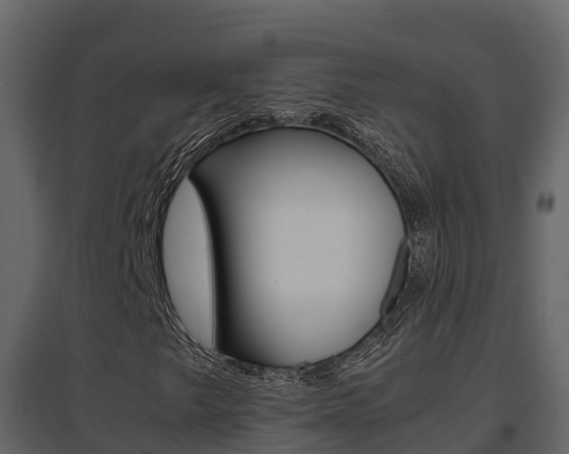 X0000096701249200802051053