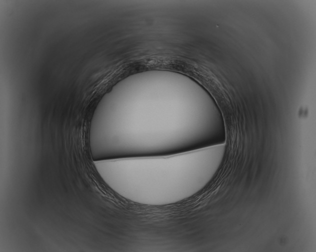 X0000096701250200802051053