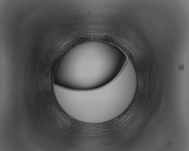X0000096701252200802051053