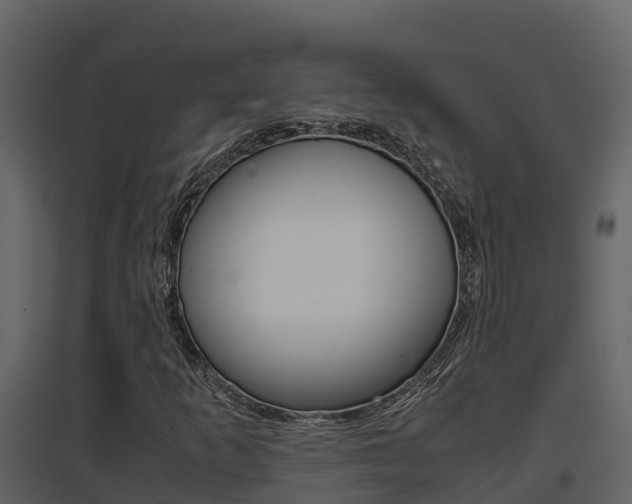 X0000096701253200802051053