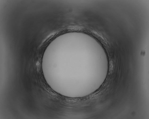X0000096701254200802051053