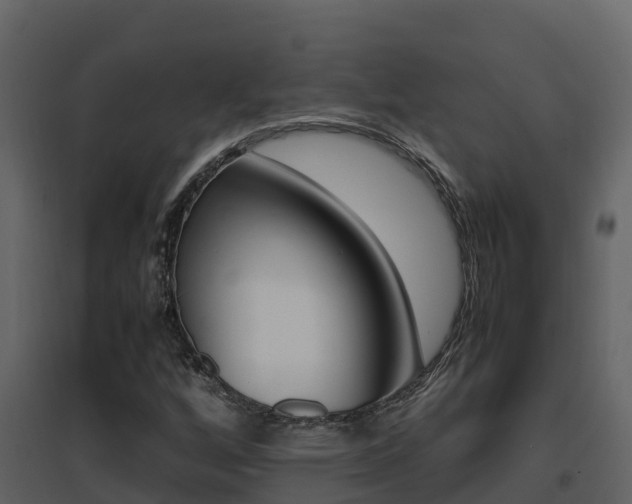 X0000096701256200802051053