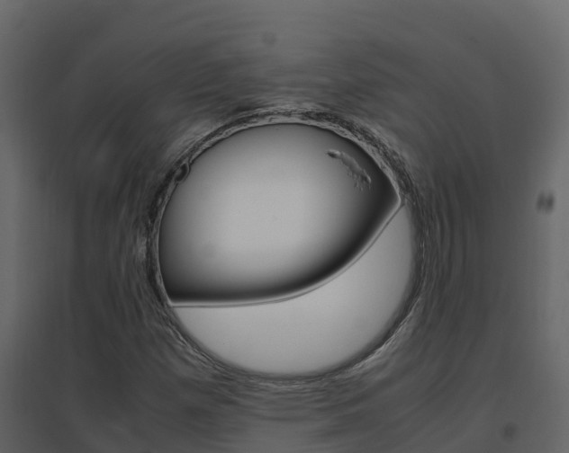 X0000096701257200802051053