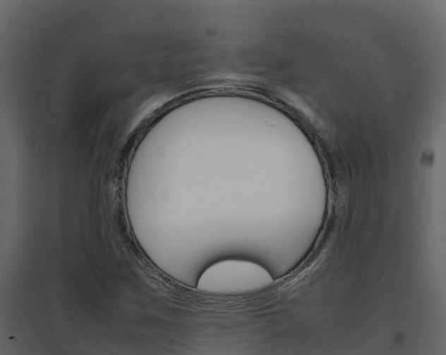 X0000096701259200802051053