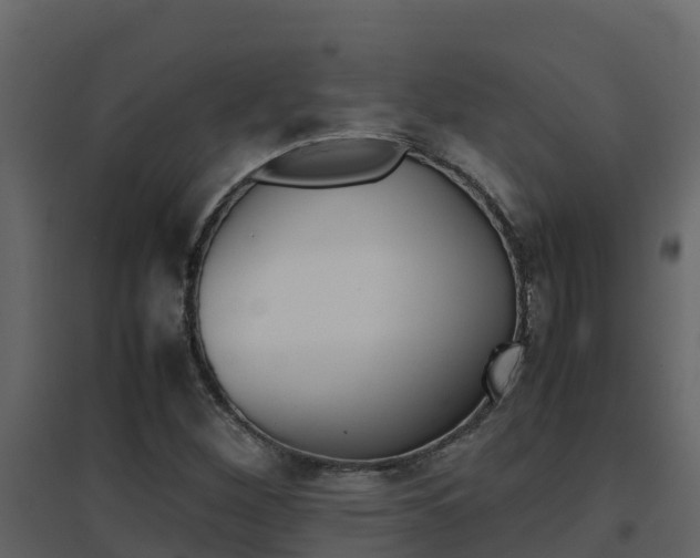 X0000096701260200802051053