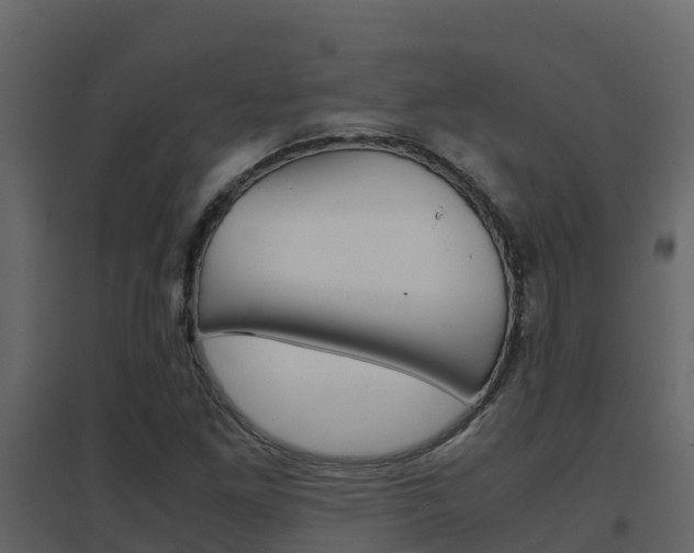 X0000096701261200802051053