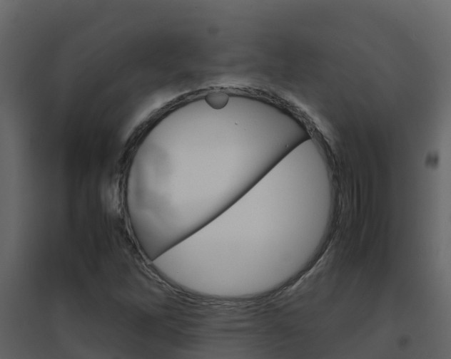 X0000096701262200802051053